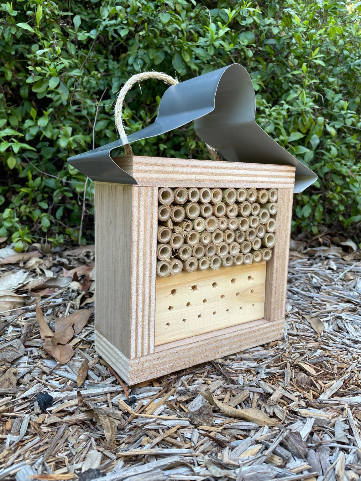 Australian Insect Homes Australian Ladybird and Insect House Bare Timber Solitary Native Bee ...