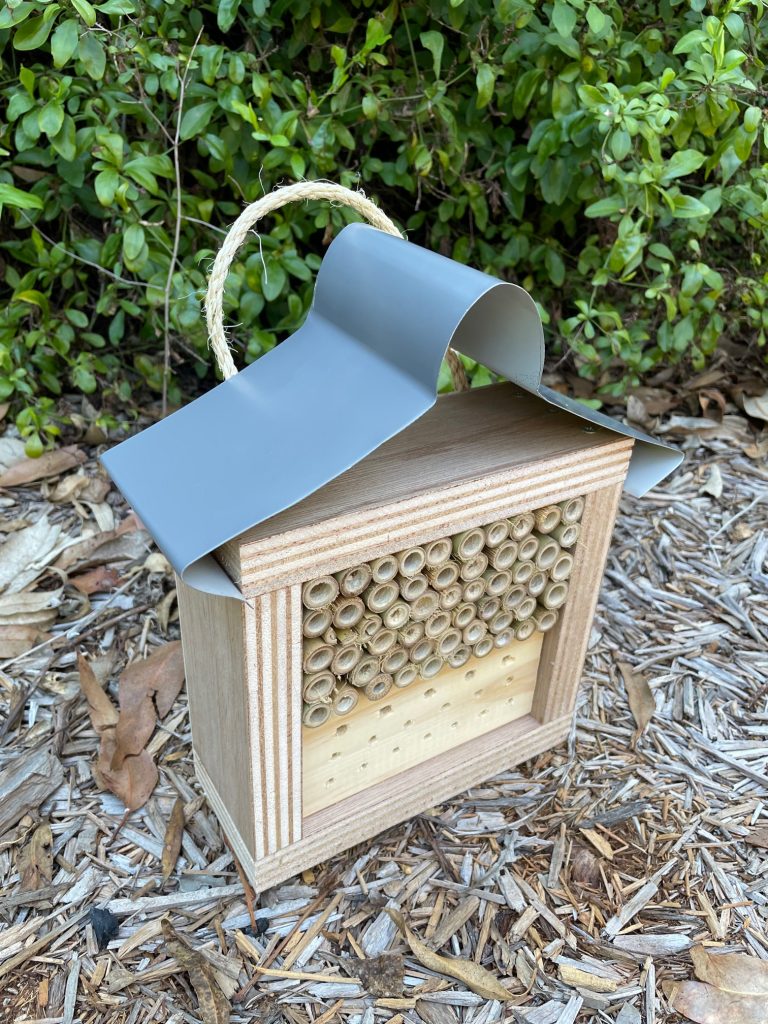 Australian Insect Homes Australian Ladybird and Insect House Bare Timber Solitary Native Bee ...