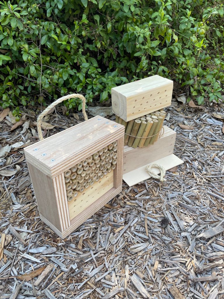 Australian Insect Homes Australian Ladybird and Insect House DIY Solitary Native Bee Hotel ...
