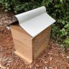 OATH Beehive Honey Super Clear Coat
