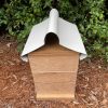 OATH Beehive Honey Super Clear Coat