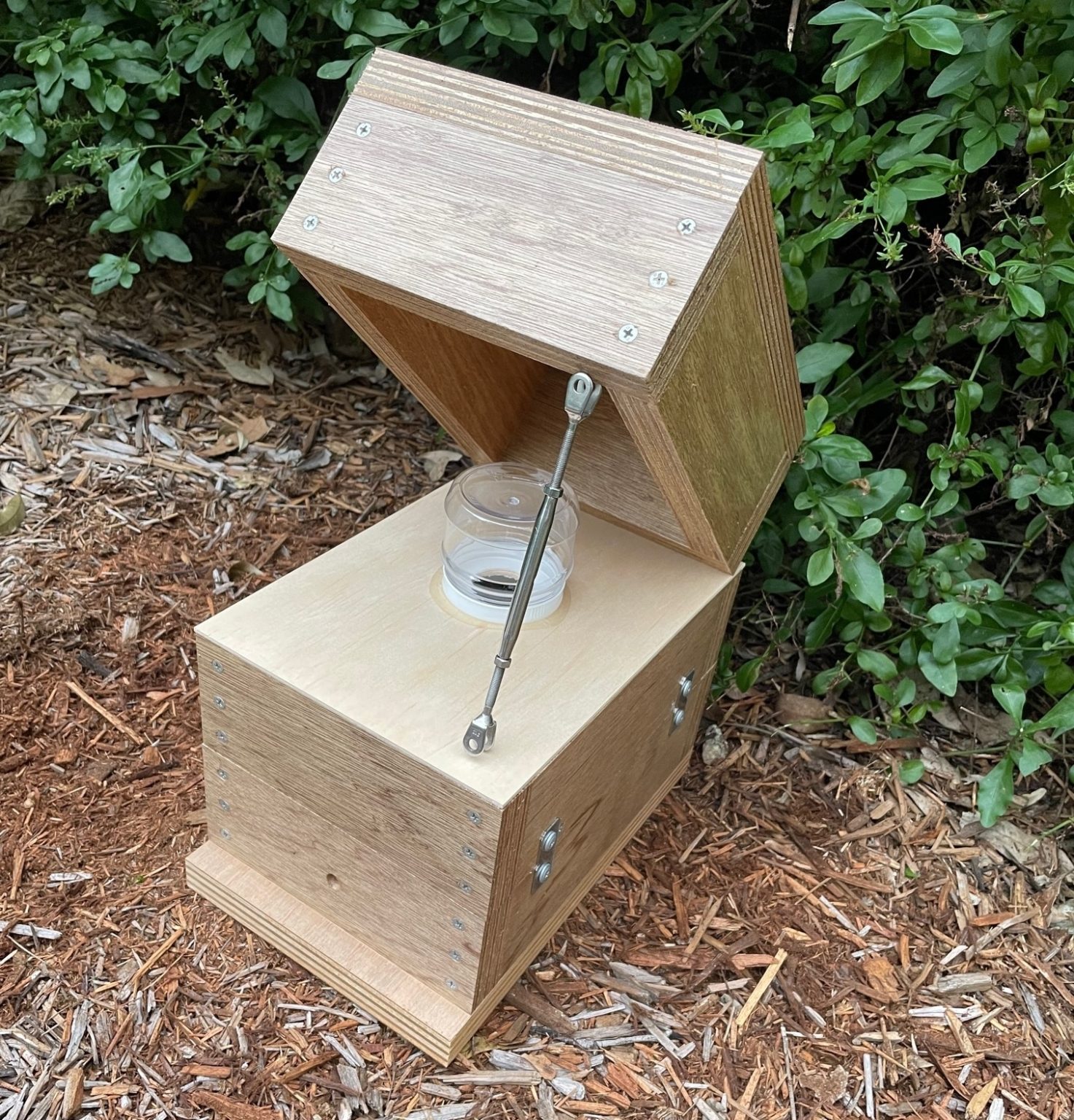 Honey Jar Beehive OATH Box Stingless Australian Native Bee Hive Clear ...