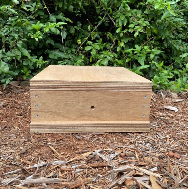 Native Bee Observation Hive