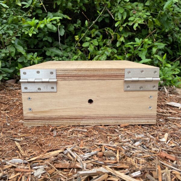 Native Bee Observation Hive