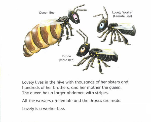 Lovely Bee Book