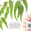 Lovely Bee Book