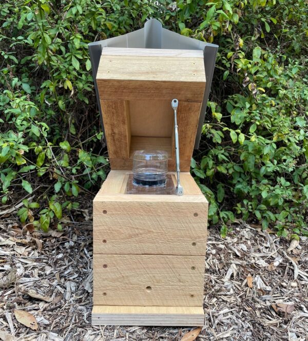 50mm Cypress Perspex Jar