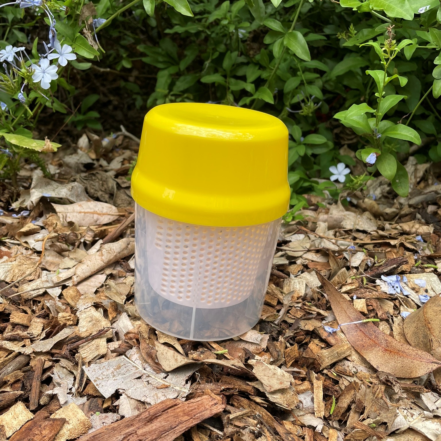 Varroa Mite Test Kit – Alcohol or Soapy Water Wash - Image 12