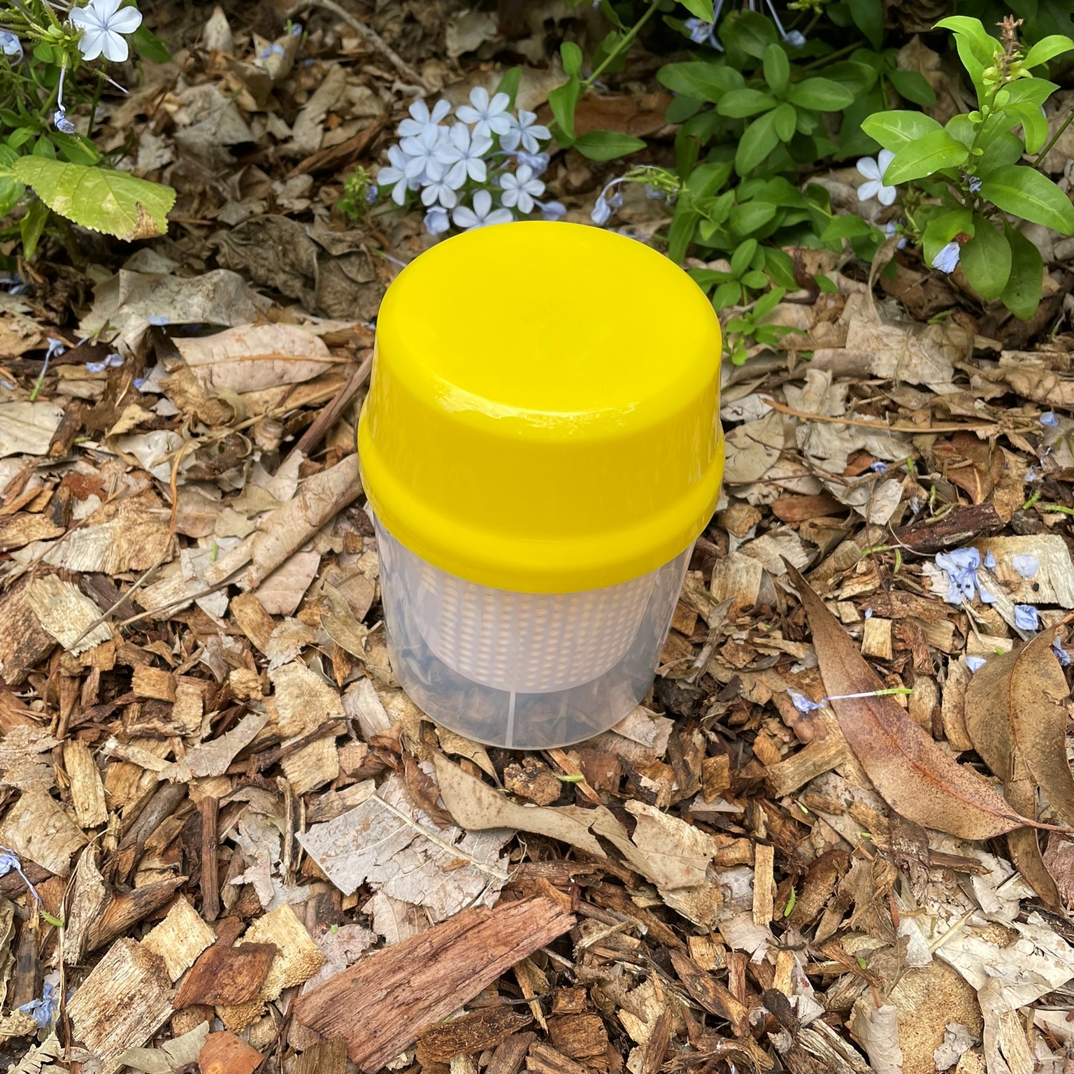 Varroa Mite Test Kit – Alcohol or Soapy Water Wash - Image 11