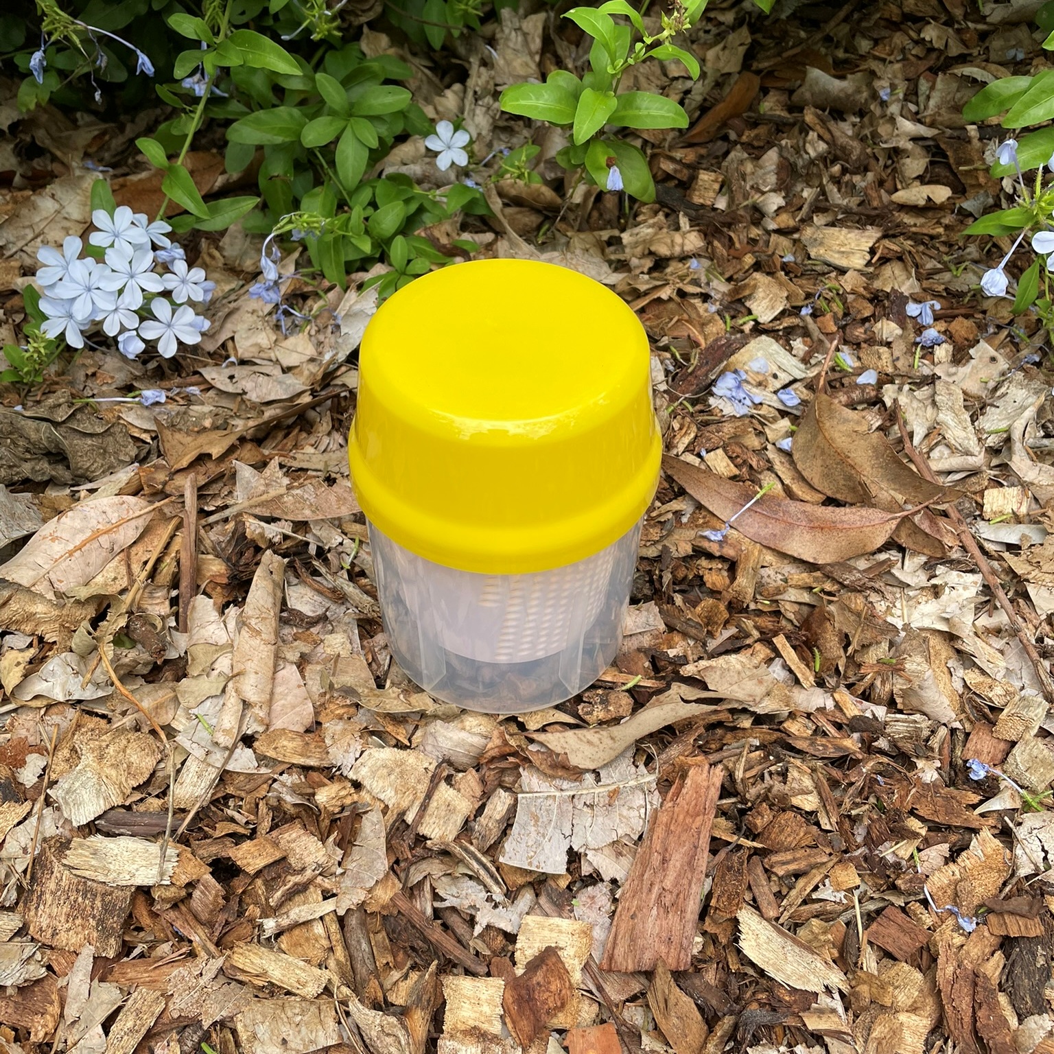 Varroa Mite Test Kit – Alcohol or Soapy Water Wash - Image 10