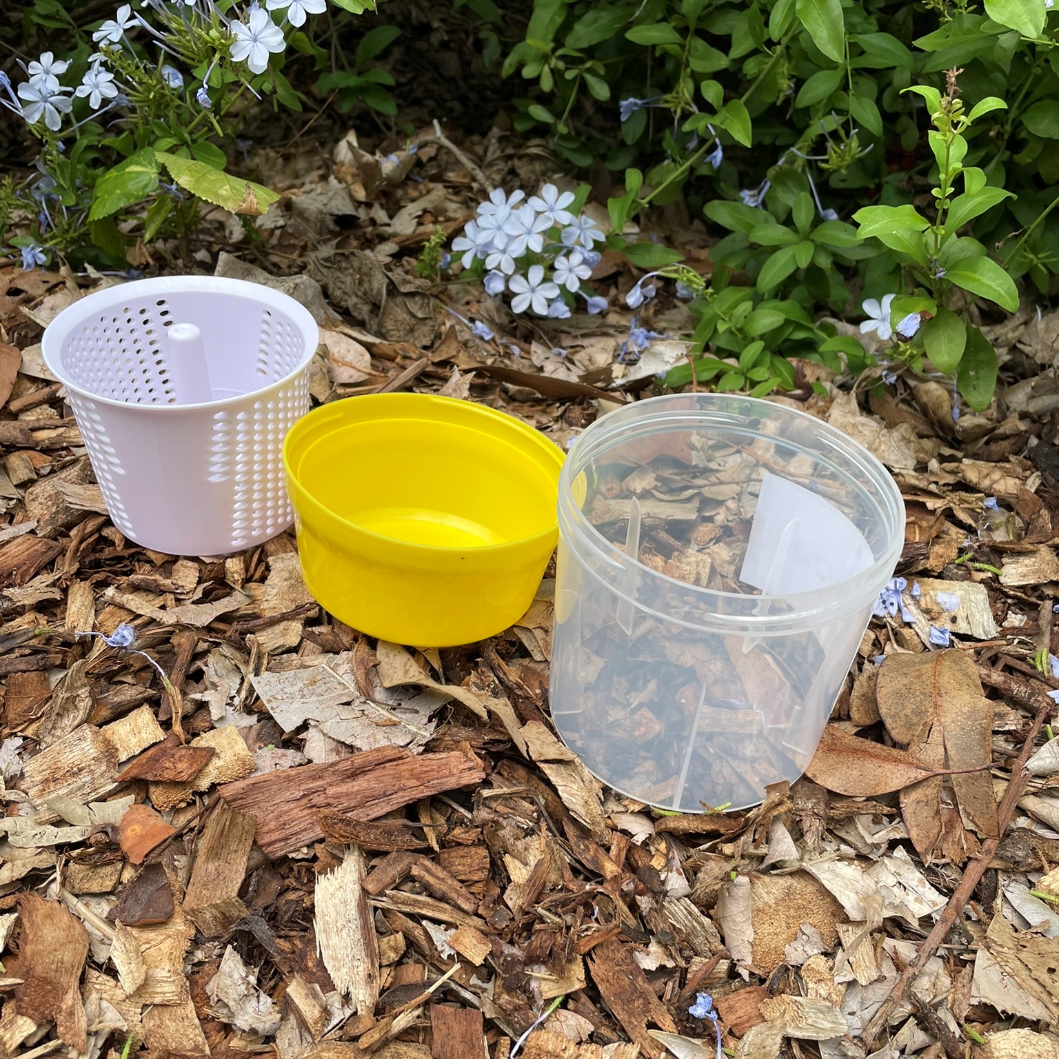 Varroa Mite Test Kit – Alcohol or Soapy Water Wash - Image 6