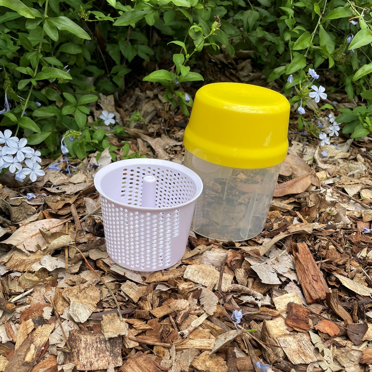 Varroa Mite Test Kit – Alcohol or Soapy Water Wash - Image 5