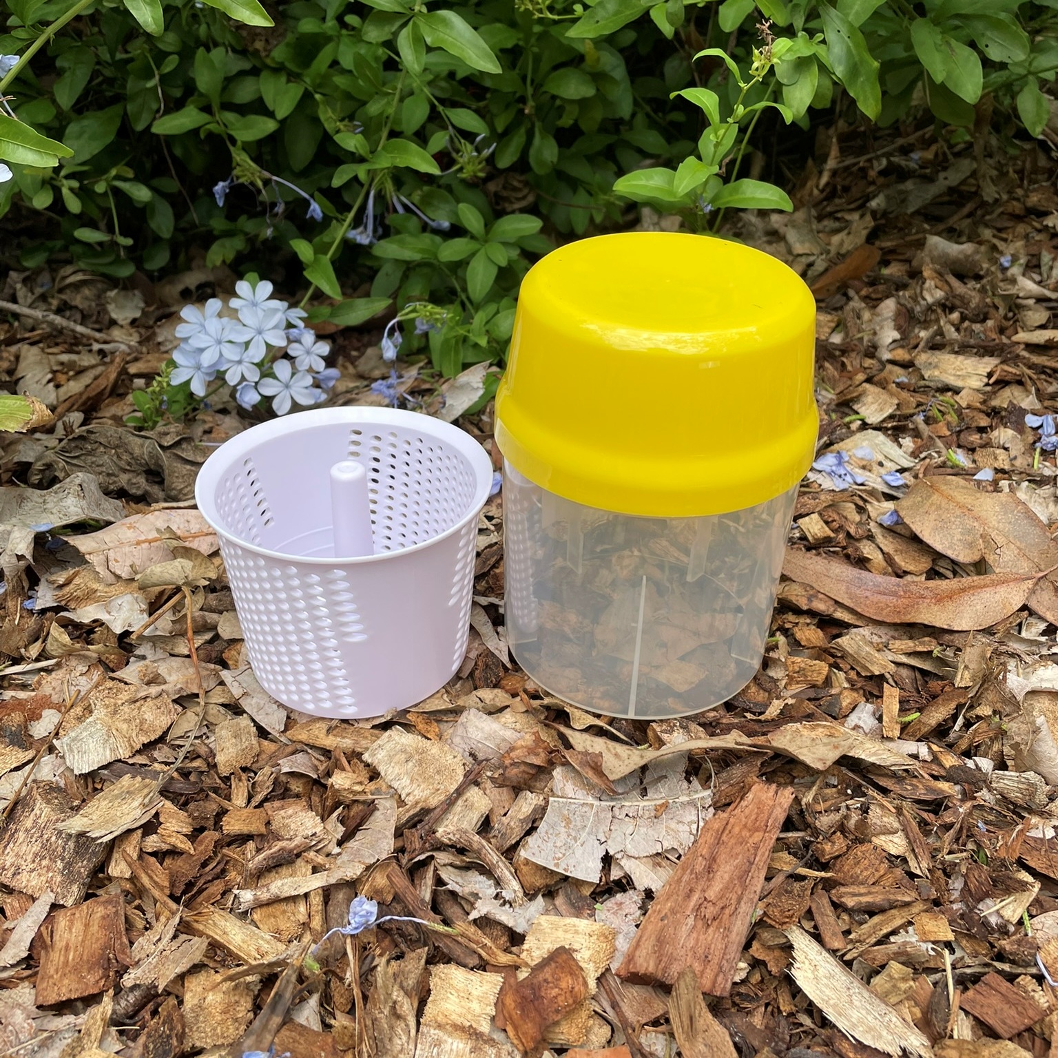 Varroa Mite Test Kit – Alcohol or Soapy Water Wash - Image 4